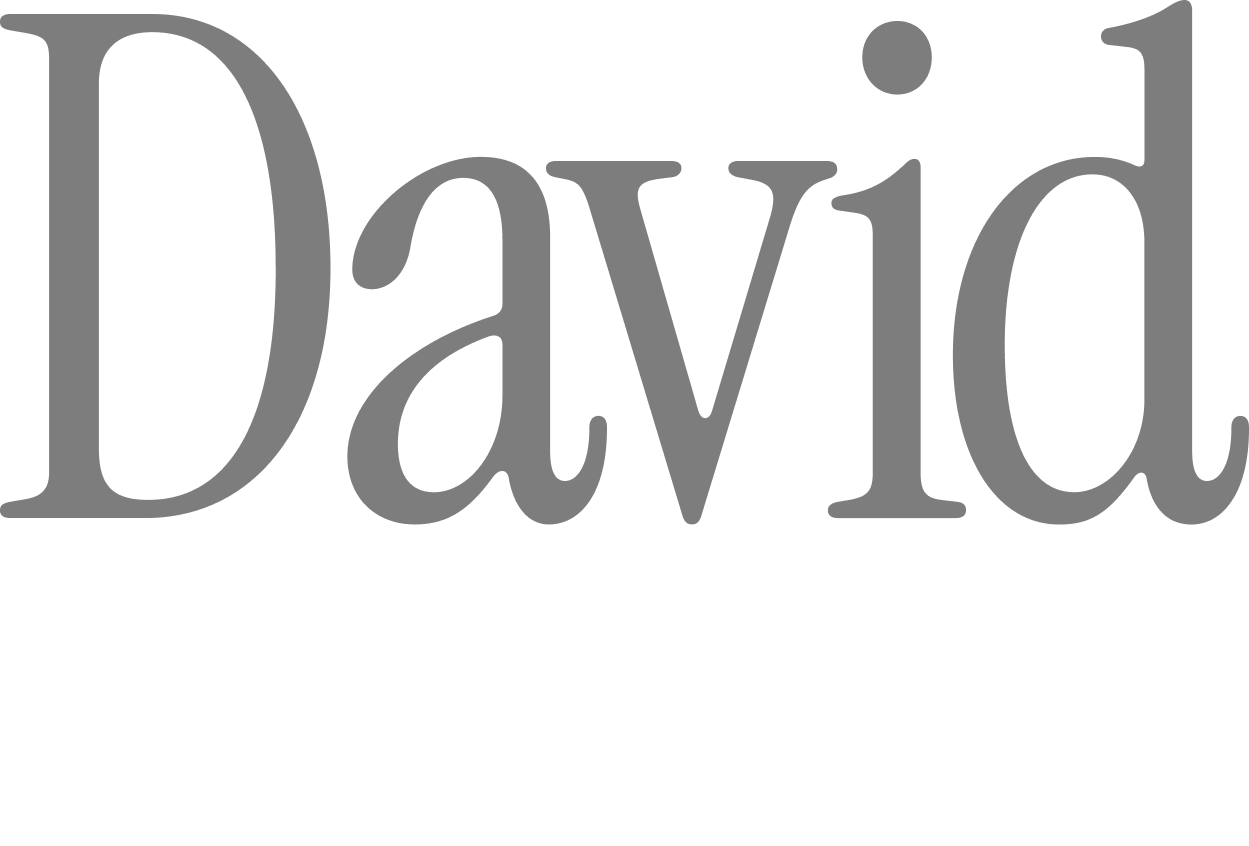 Gray 'David' logo on a white background