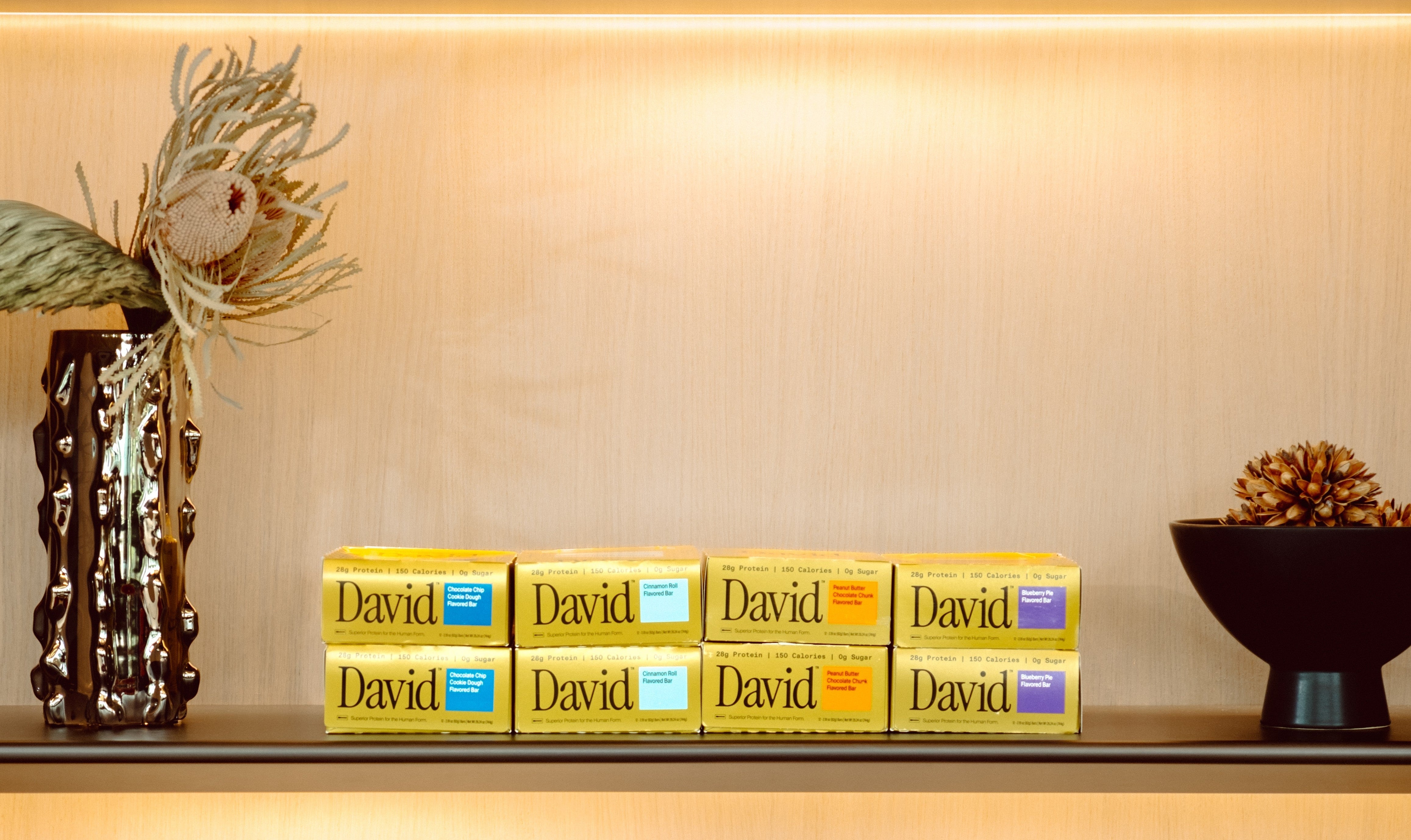 Row of David boxes on a shelf with decorative plants.