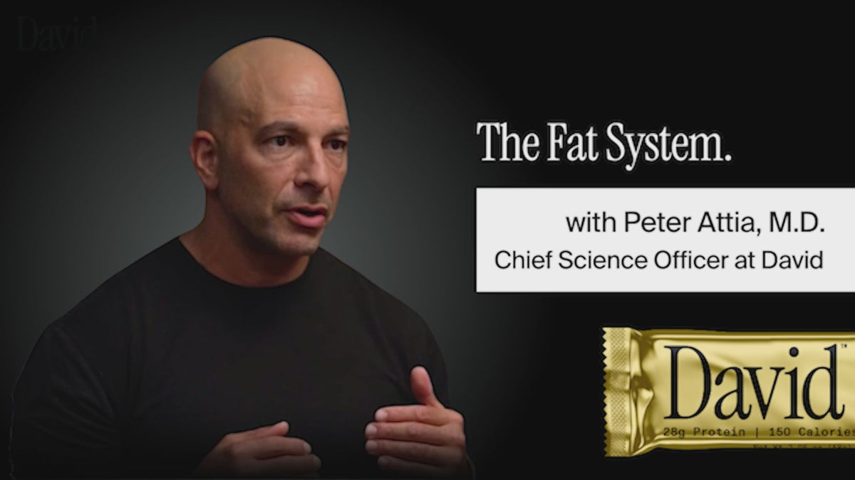 The Fat System
